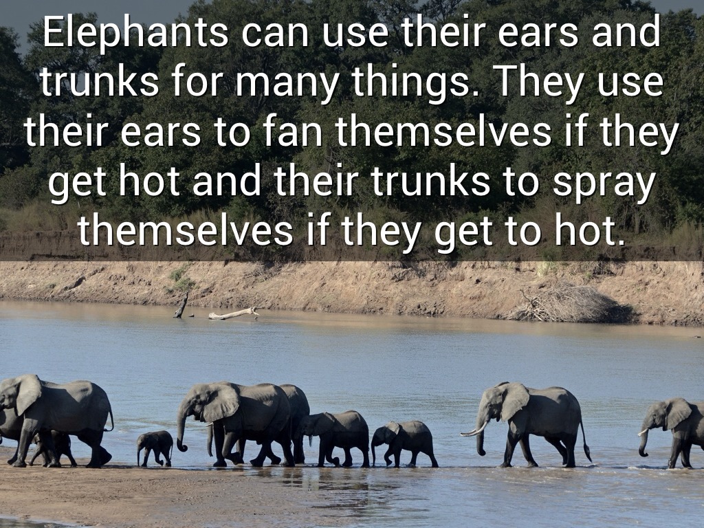 Research Project by student14