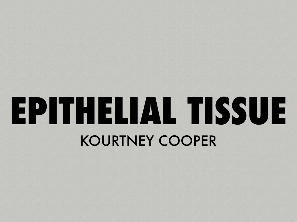 Epithelial Tissue
