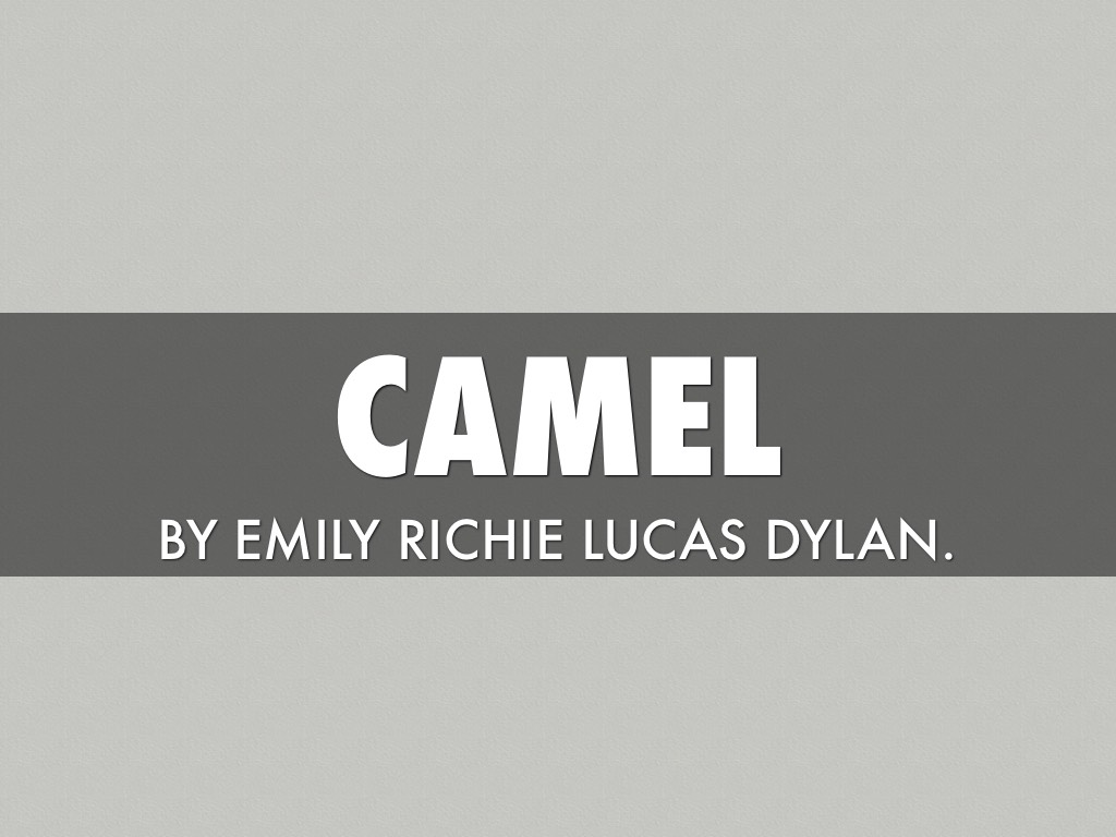 Camel 
