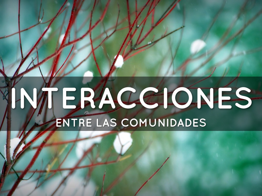 Interacciones Entre Las Comunidades