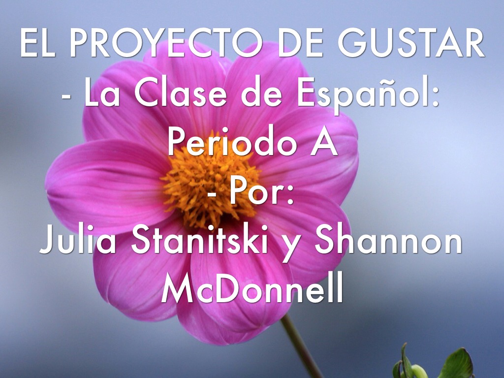 El Proyecto de Gustar