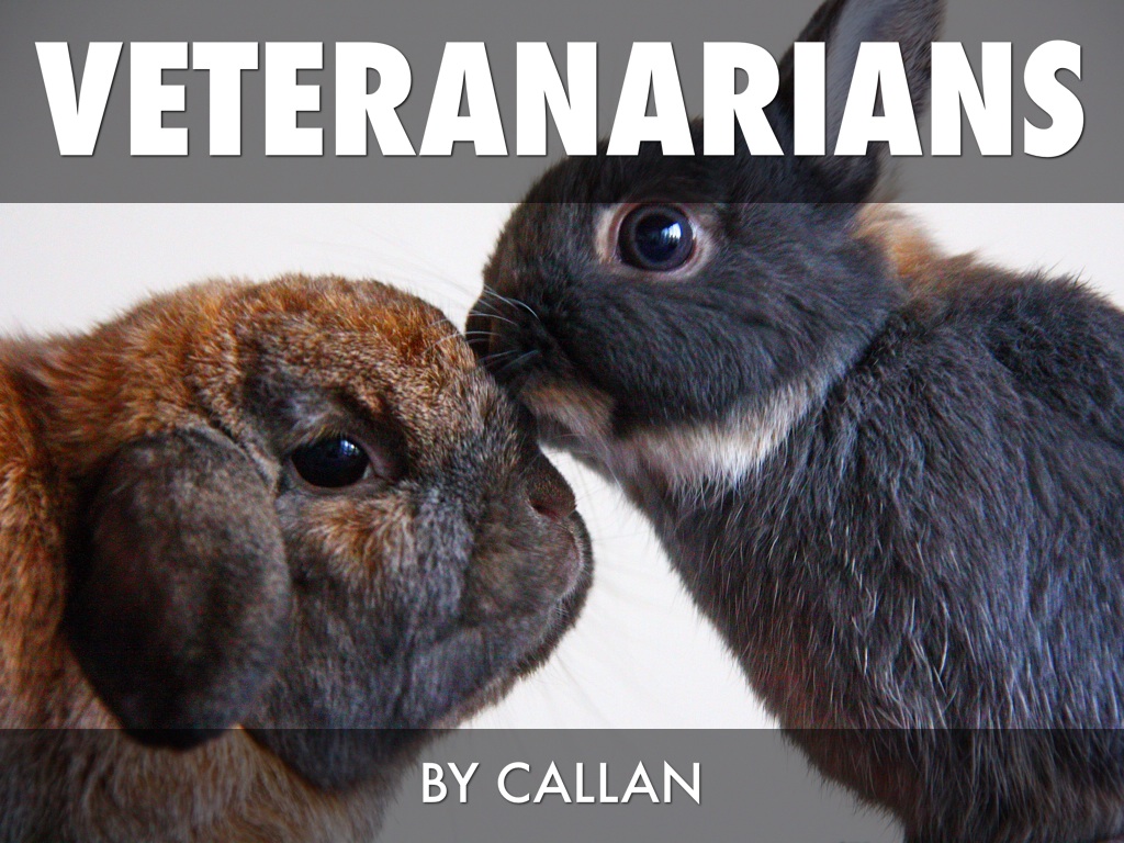 Veteranarian