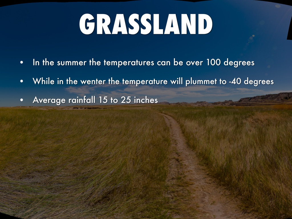 Grasslands Biome 