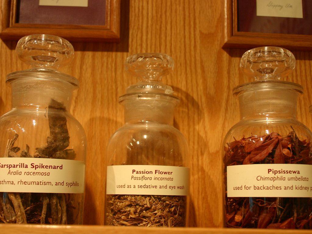 Warrior Herbs by Asia Amanzi Gilchriest