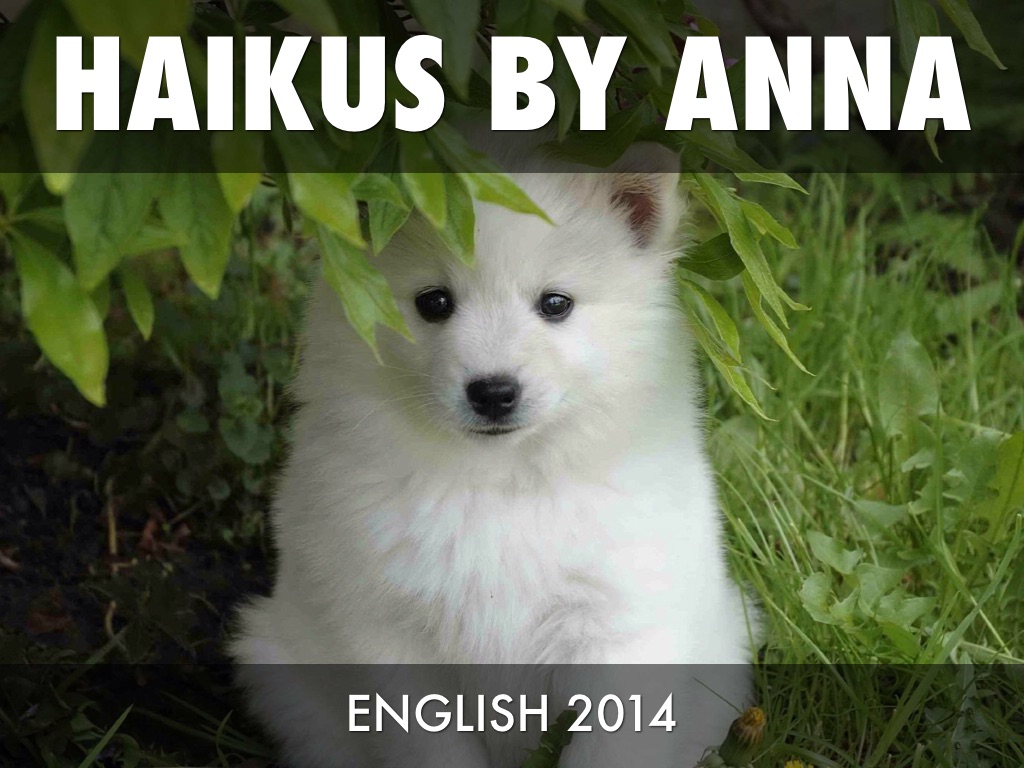 Haiku 