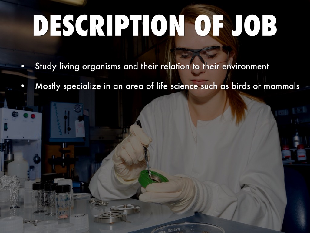 Position Examples In Science Science Career by Garrett Andersen
