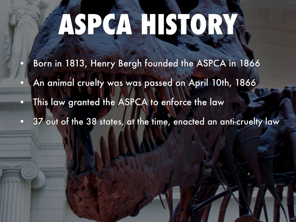 Aspca by Hali/Ashly Steigerwalt/Collins