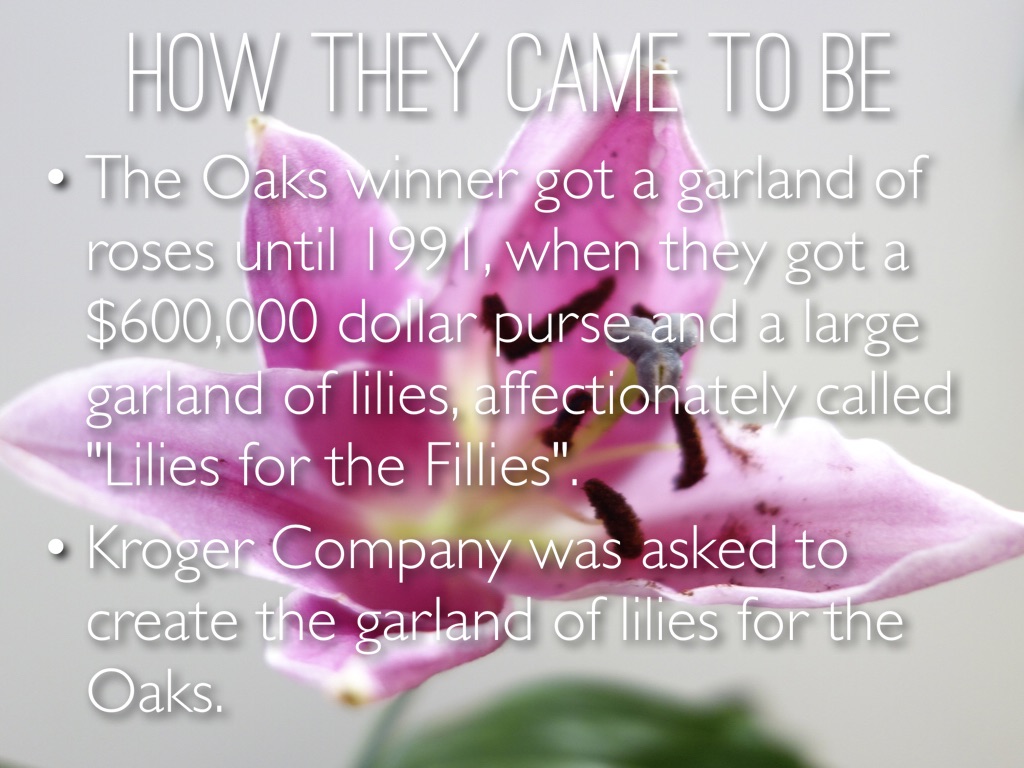 Lilies For The Fillies by Kelly Hynes