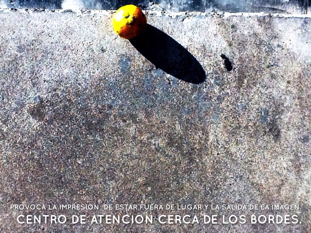 PRÁCTICA DE LAS FOTOGRAFÍAS