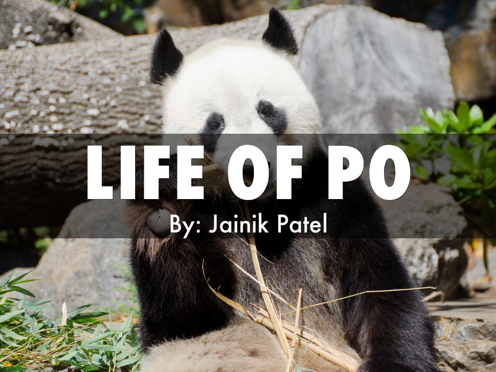 Life of Po