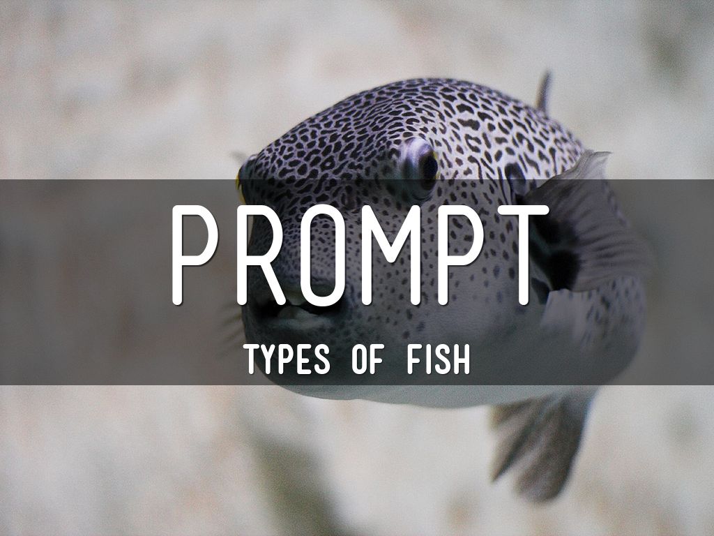 Prompt by afendrick527