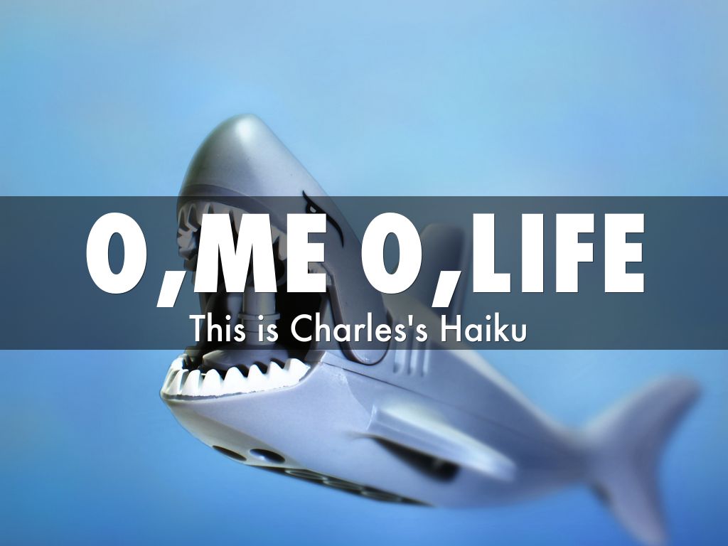 o,me o,life