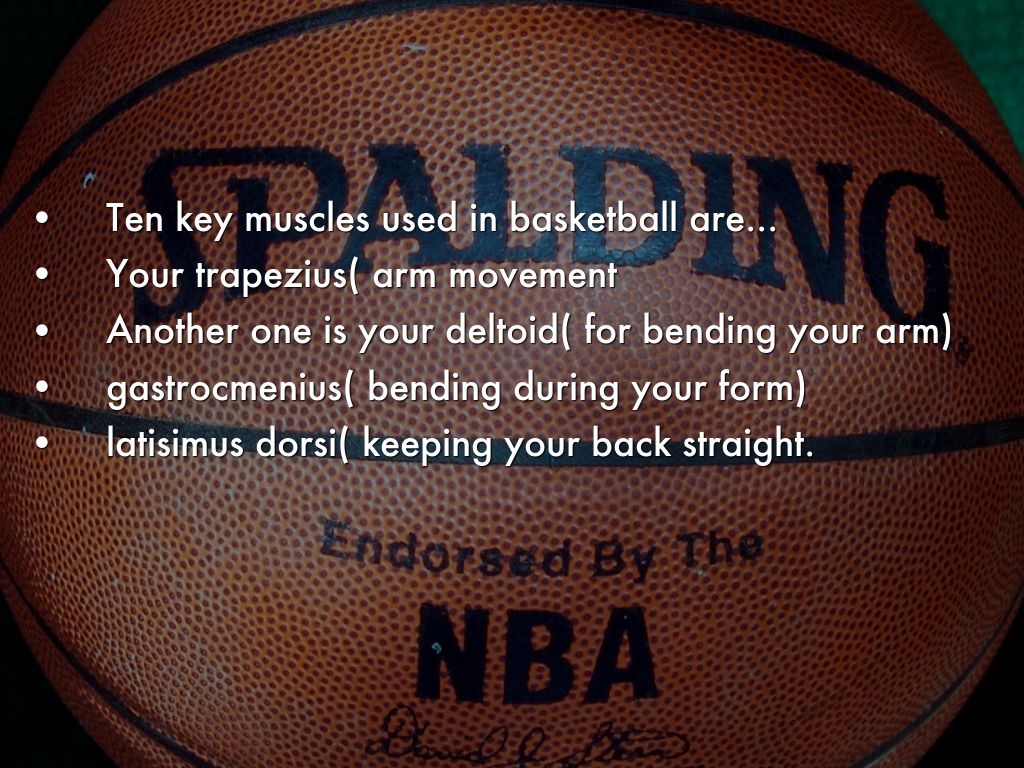 10 Basketball Muscles by Oba Uzoma