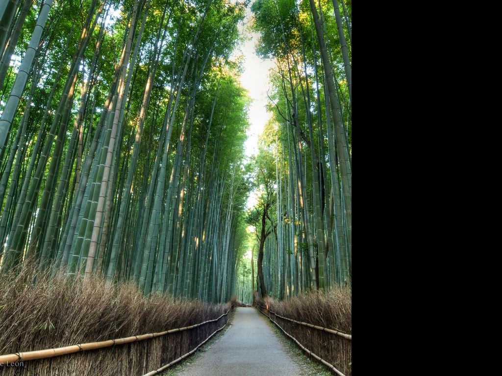 Culture and Core Values Haiku Deck Presentation Template 的副本