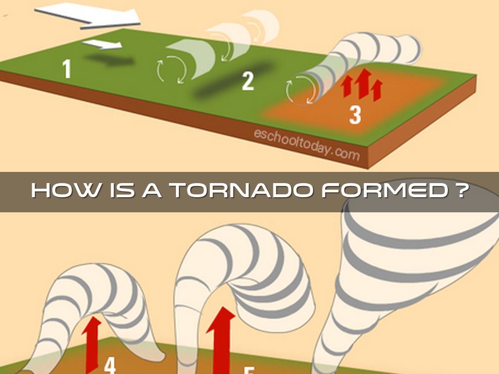 Tornadoes by Diana Uryupina