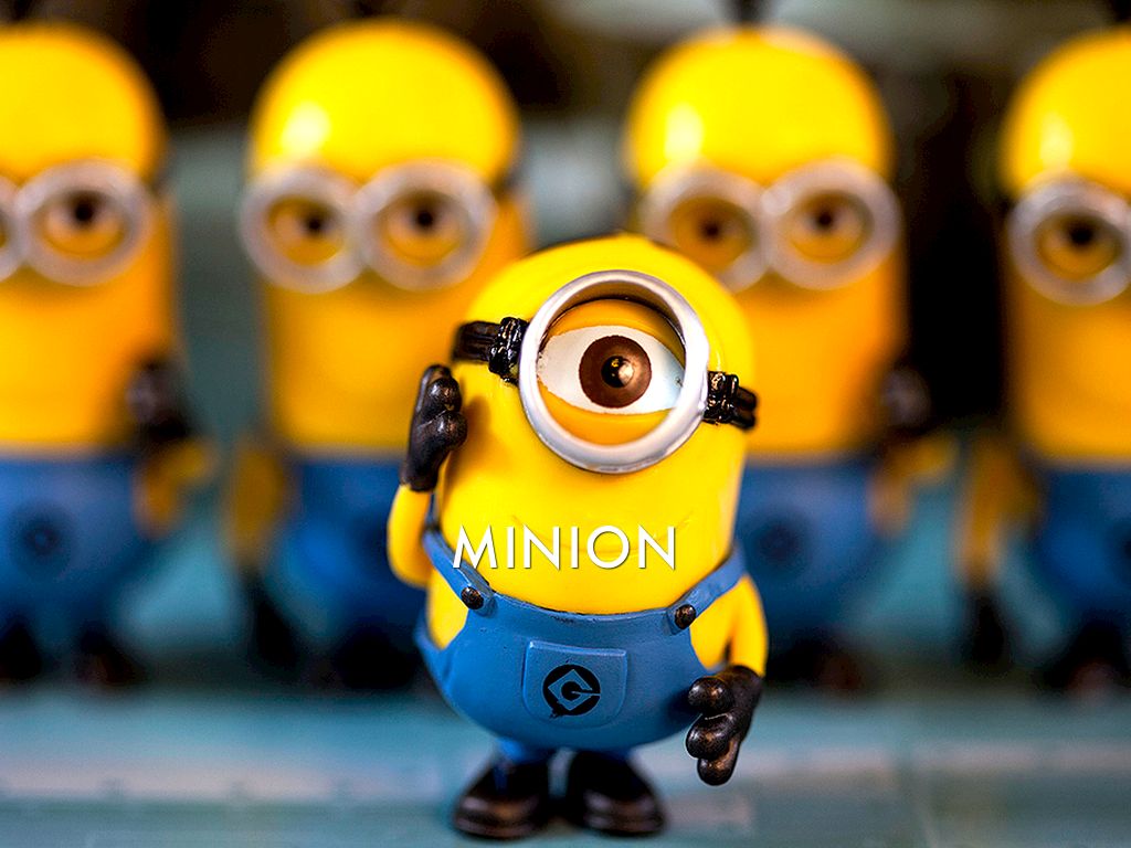 Minions Audrey Y.