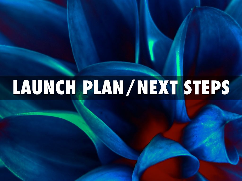 Copia de Startup Pitch Template