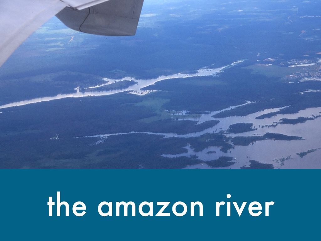 amazon river