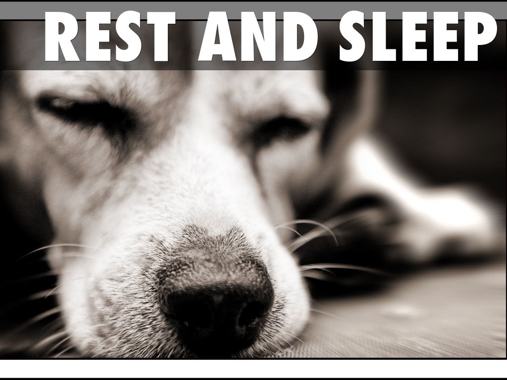 Rest and Sleep
