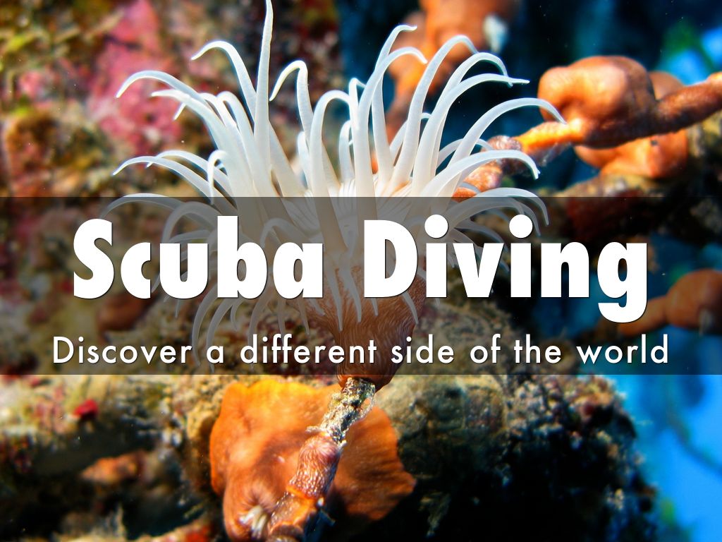 Scuba Diving