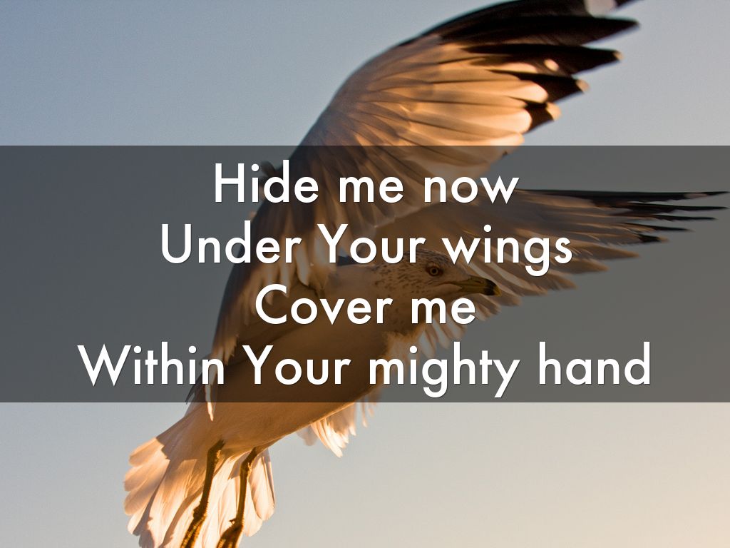 Hide Me Now Under Your Wings Lyrics Hide me now Under Your wings Cover me Within Your