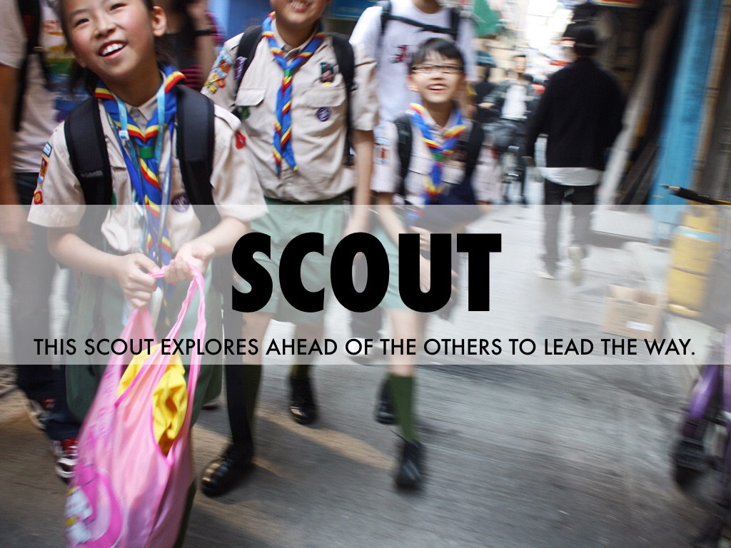 🐹vocabulary 🐰🐯