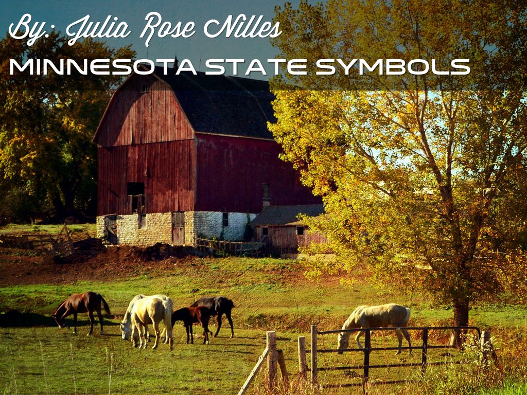 Minnesota State Symbols