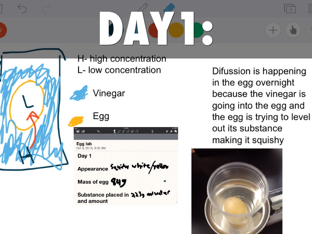 Egg Lab by Charlie Keown