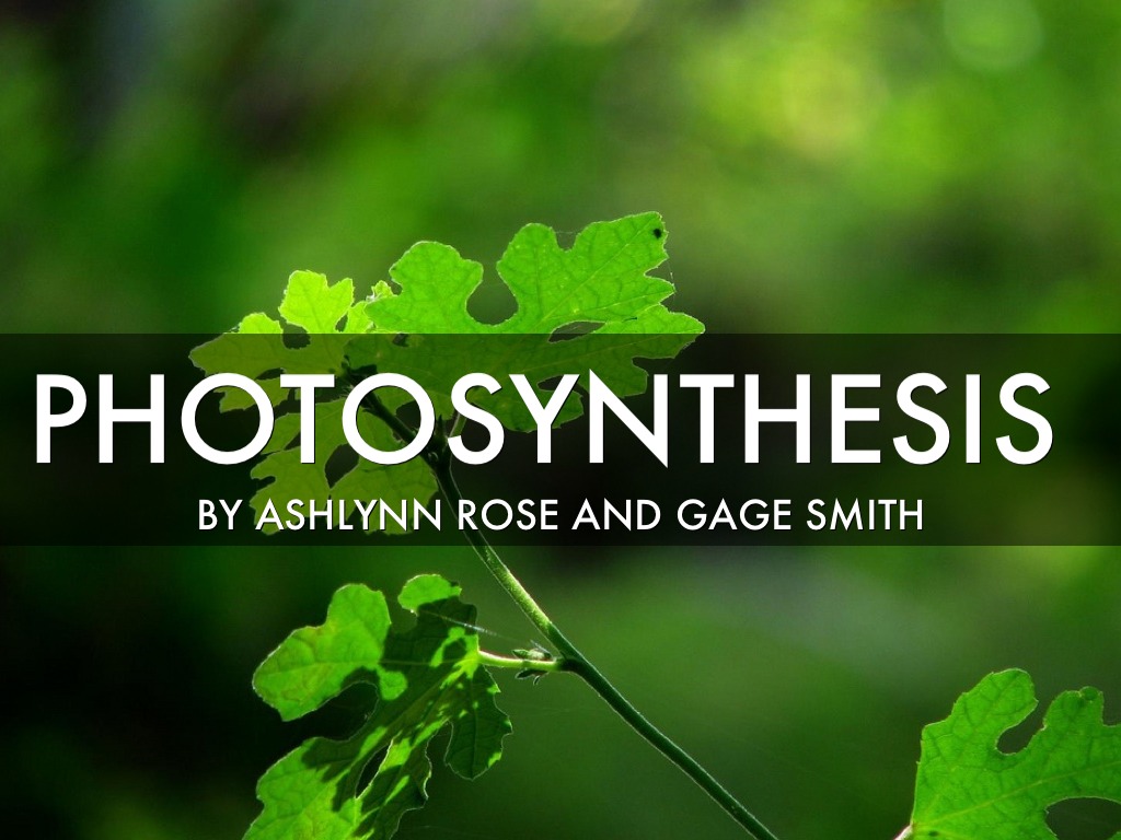 Photosynthesis 