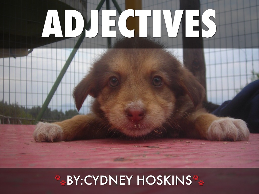 Adjectives