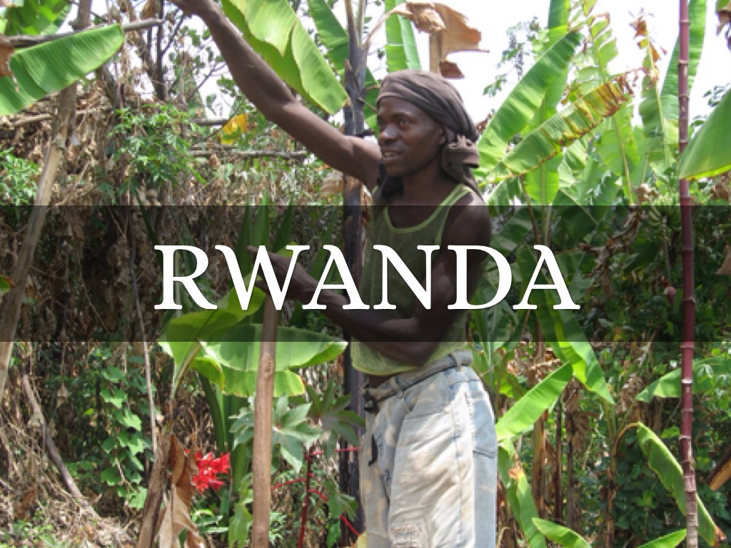 french speaking project by Tayla Middleton