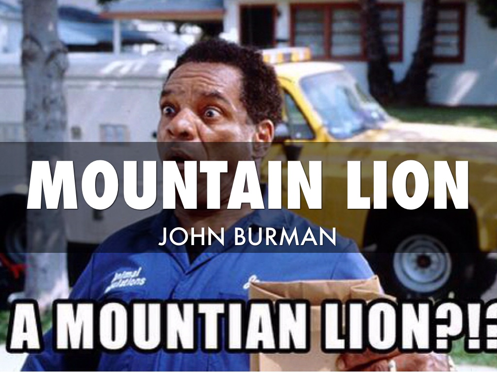 Copy of Mountain Lion 