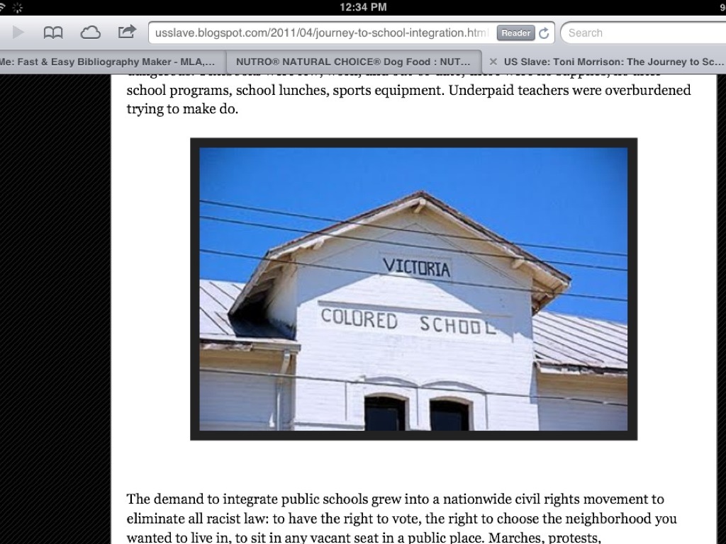 Integration of Public Schools 