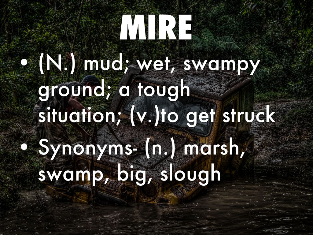 Chapter 10 VOCAB by V Z