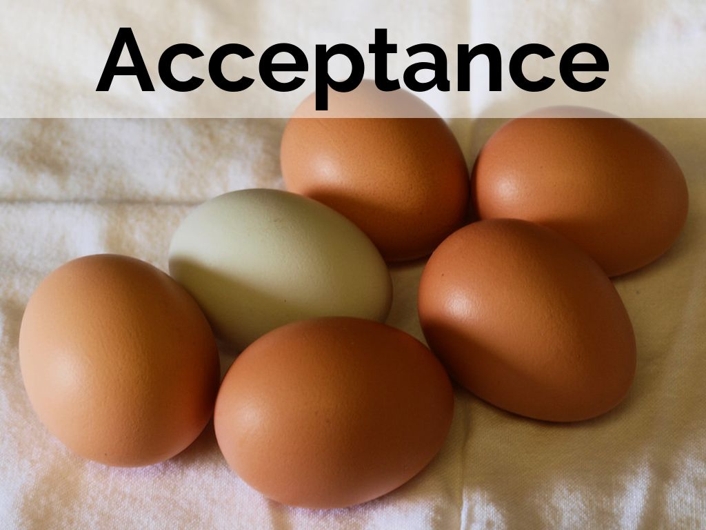 Copy of World Values Day