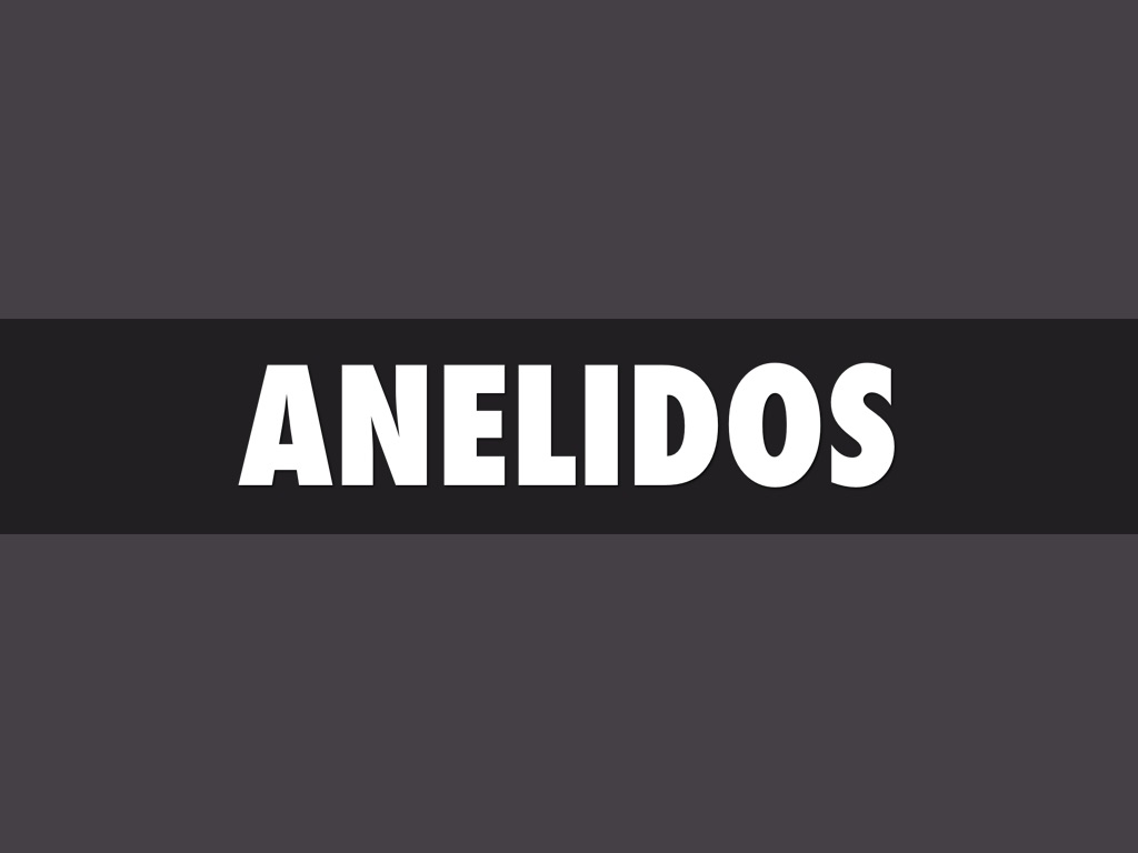Anelidos