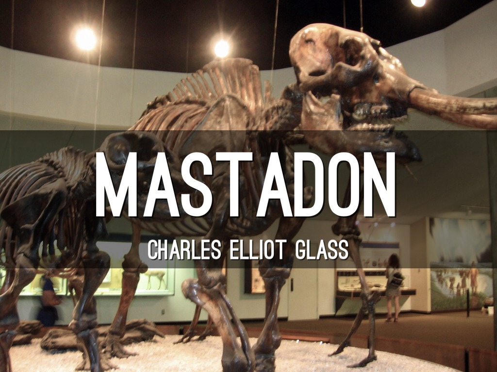 Mastadon