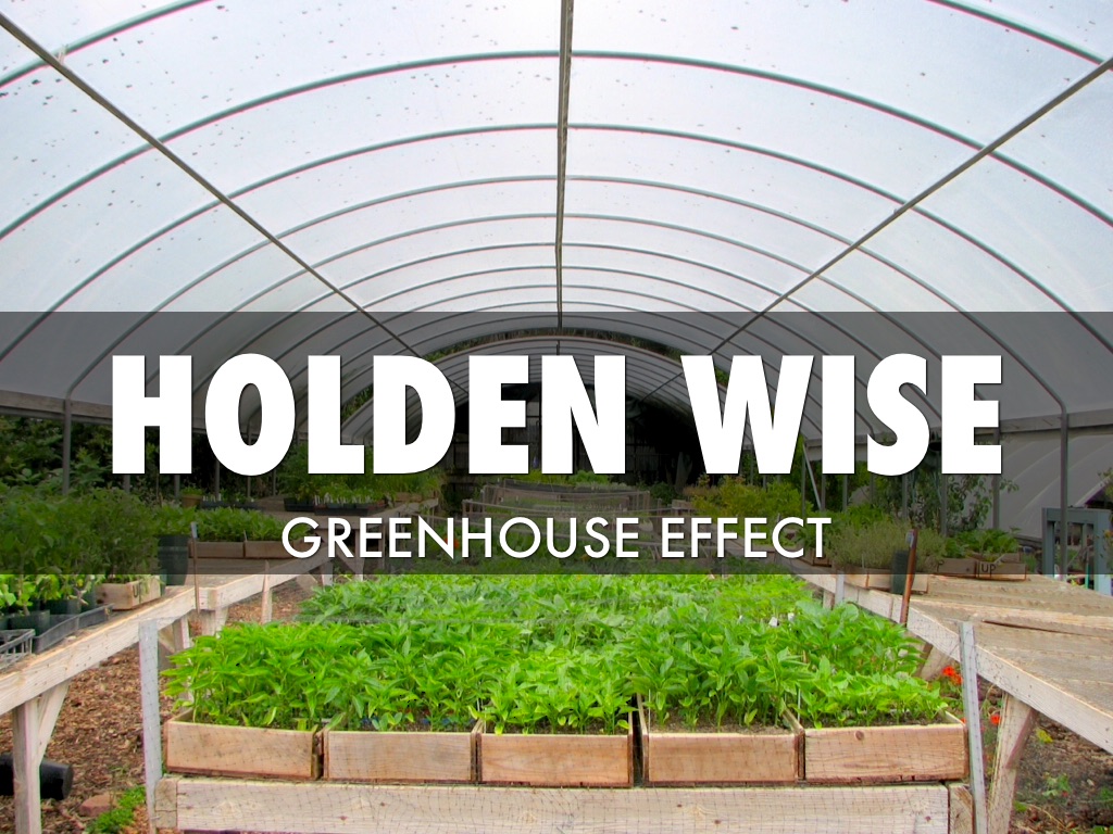 GreenHouse Effect
