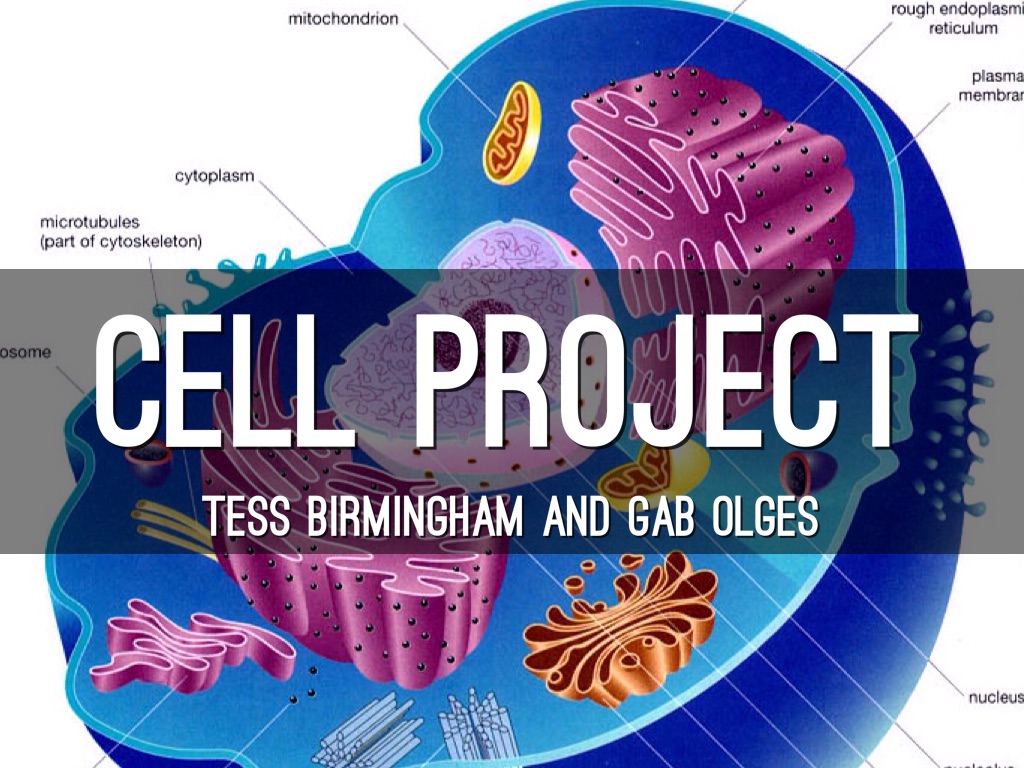 Cell Project