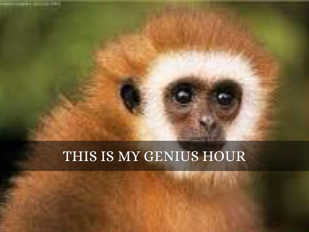 Genius hour