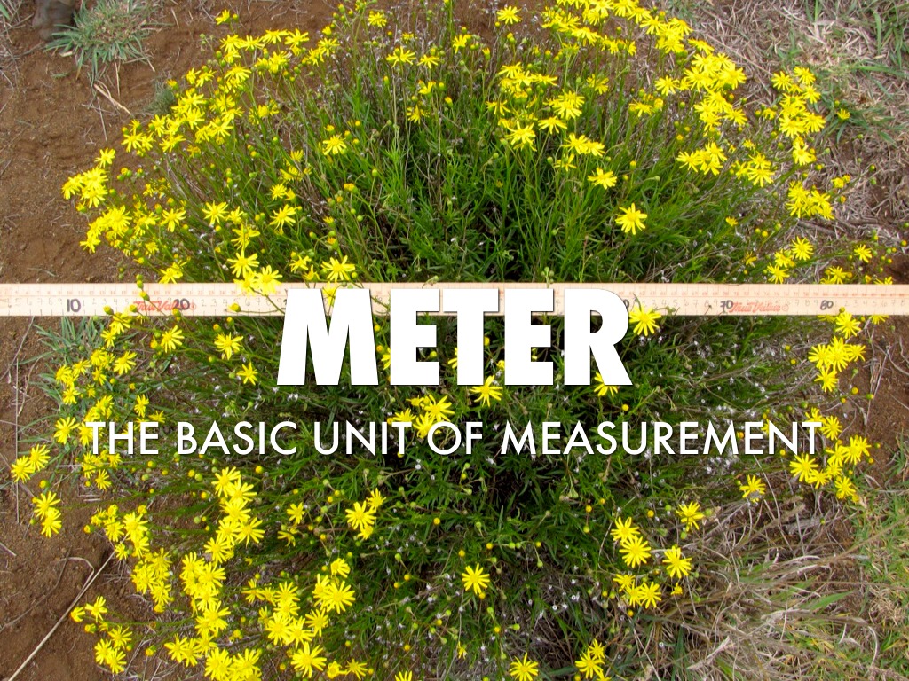 Metric Vocabulary by Sam Menge