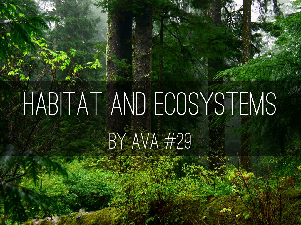 Habitats And Ecosystems 