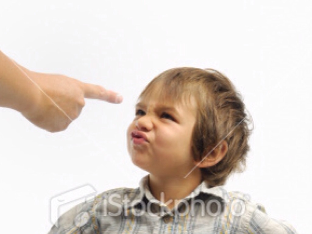 II Annual Forum for Board Members