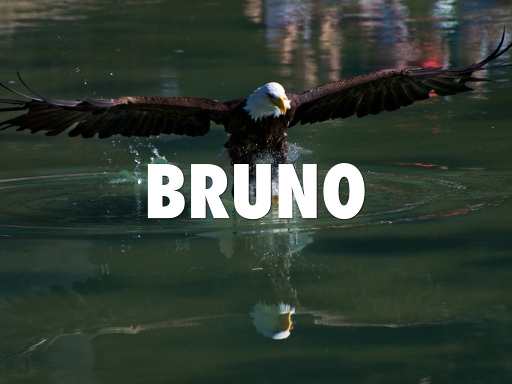 El Universo Bruno 4.A