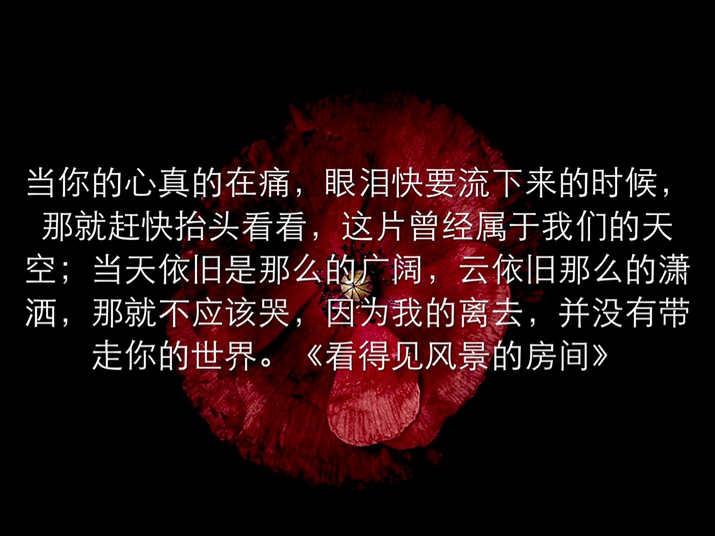 一部电影一句话