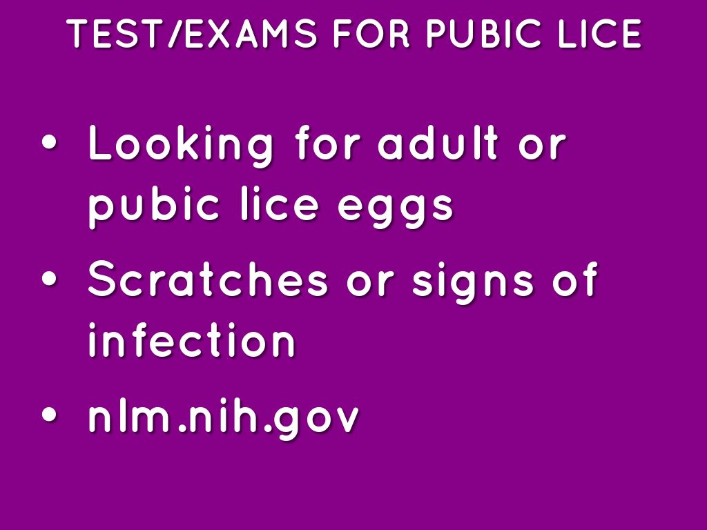 Pubic Lice by Dillon Negrai