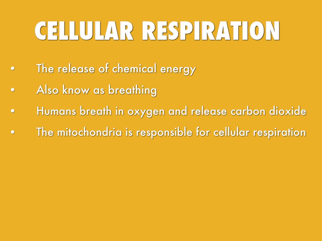 7_SheridanStone_Energyreview by Holly Steele