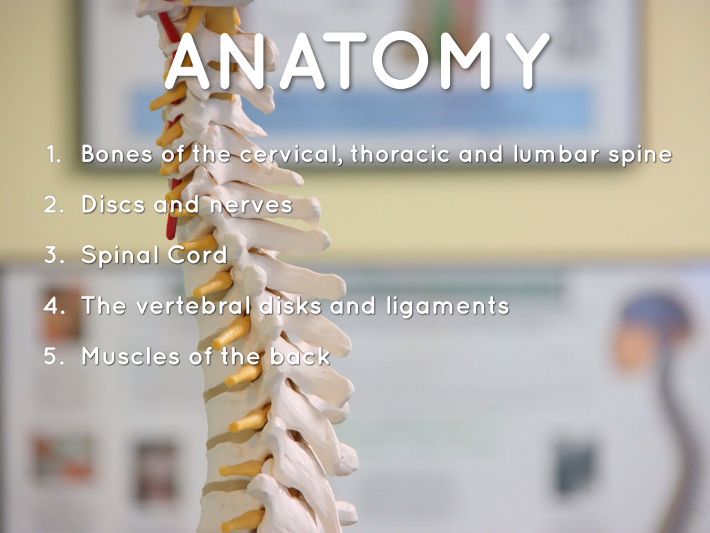 Herniated disc 6 months image