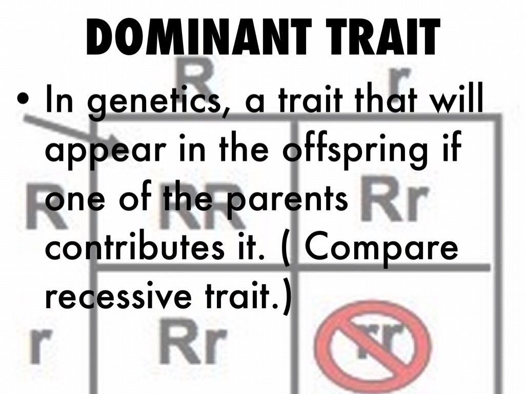 Copy of Science Vocabulary
