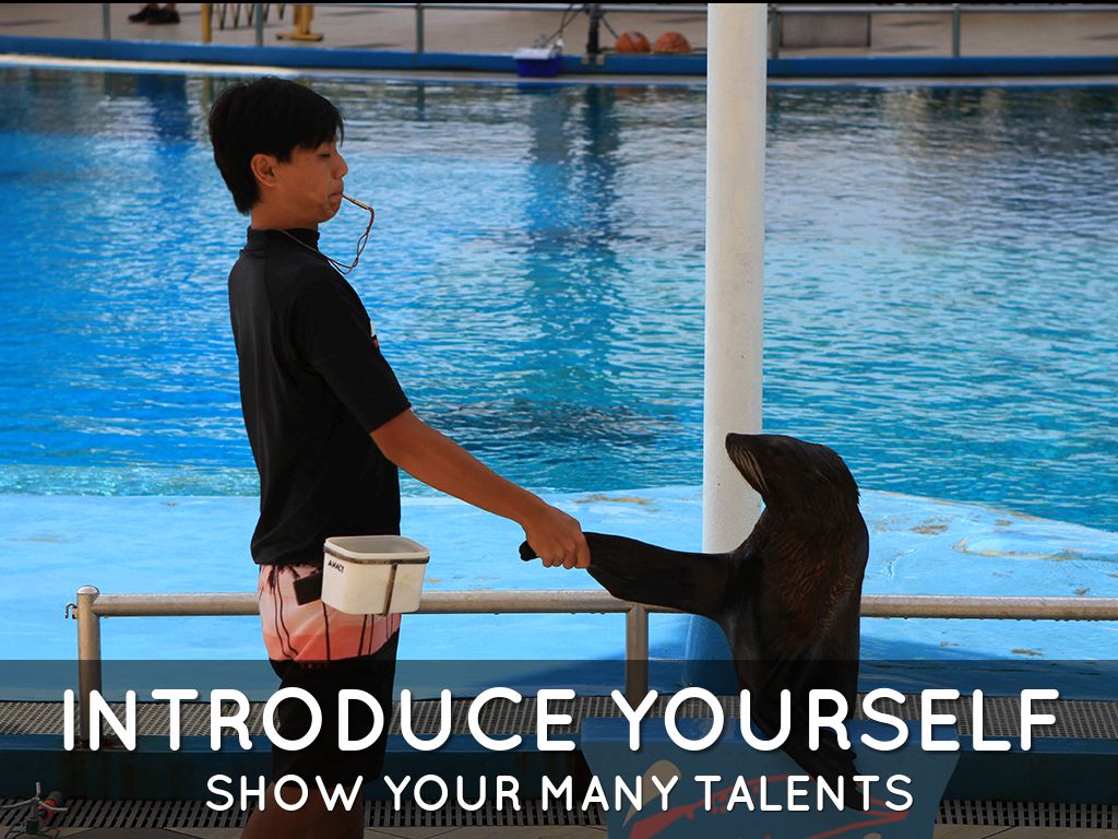 Haiku Deck In Action